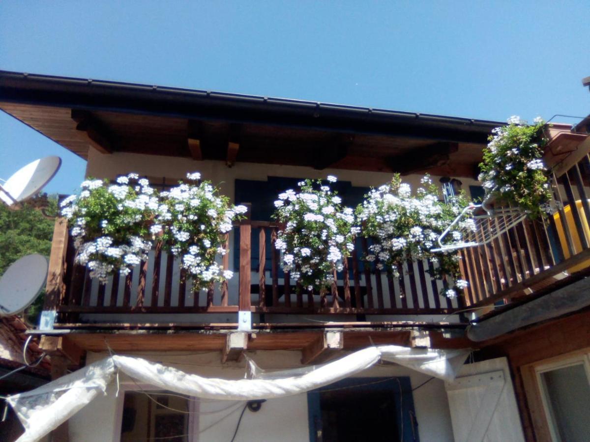 La vieille maison Biselli Tende Extérieur photo